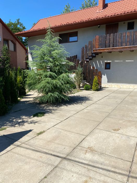 Берегове. с. Дийда  Котедж  VillaDAn, біля термальних басейнів