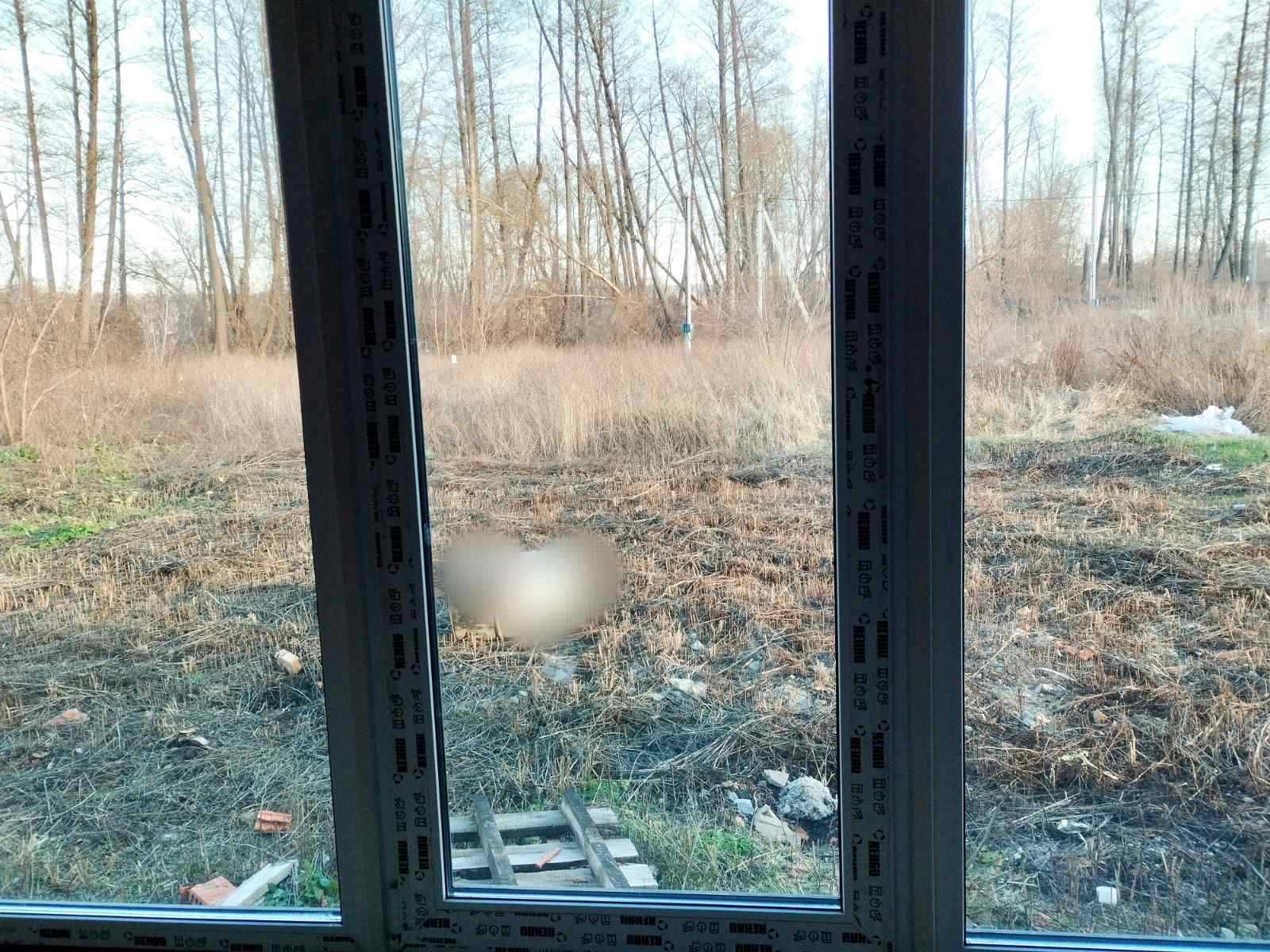 Дуплекс в лісовій частині Ірпеня. Поруч нові будинки.Розтермінування
