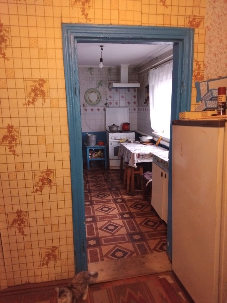 Продаж будинку в центрі Слободи, вул. О. Бережного (Пушкіна)