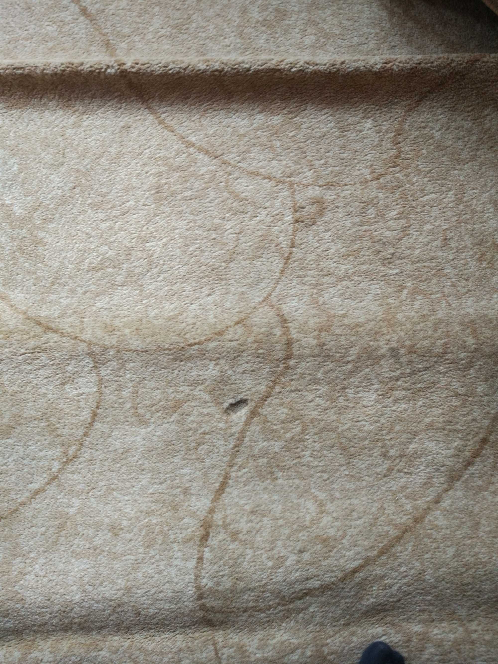 Dywan (Turcja) z krótkim włosem z przędzy (yarn) Heat Set (330x240)