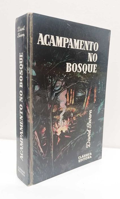 Acampamento no Bosque, de David Severn