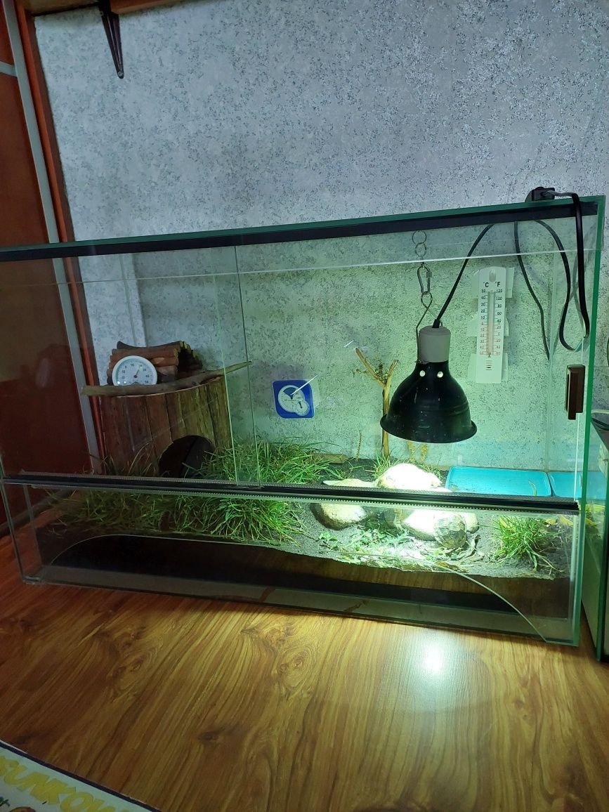 Terrarium dla gadów