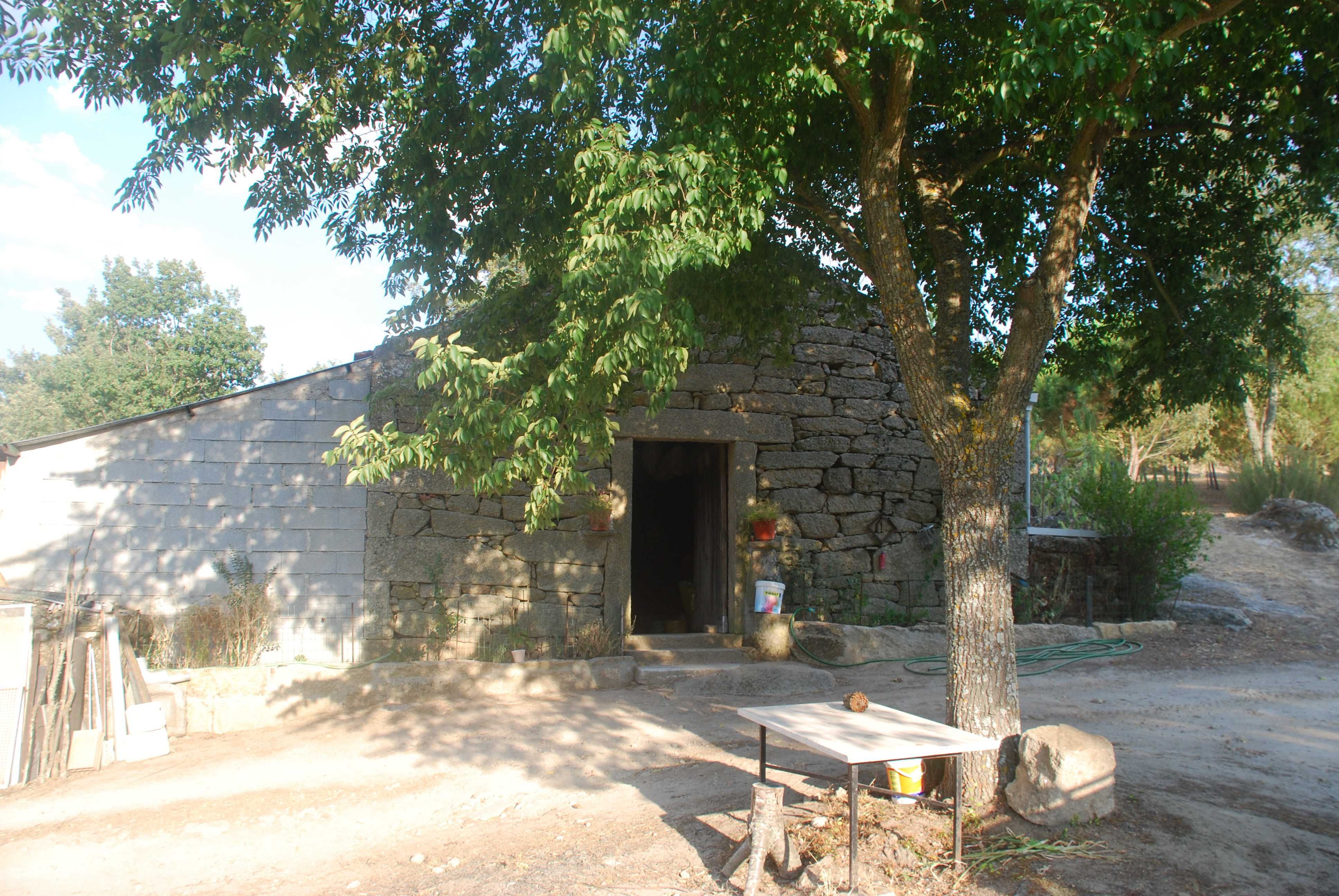Quinta da Foroa, Macieira (Sernancelhe)