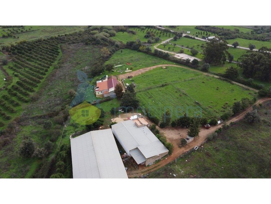 Terreno urbano e terreno rústico em Odiáxere para novo projeto.