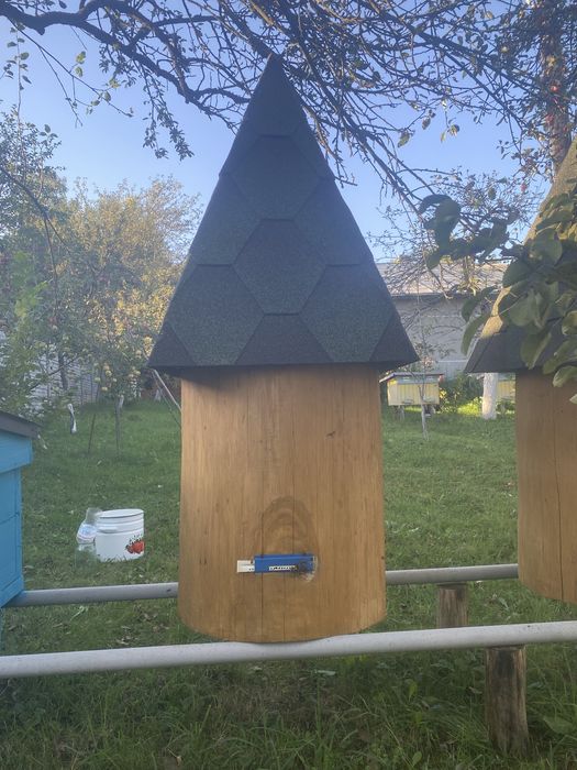 Продам вулик з сімʼєю