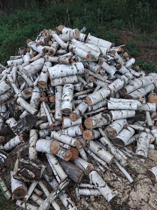 Drewno kominkowe brzozowe sezonowane wysuszone