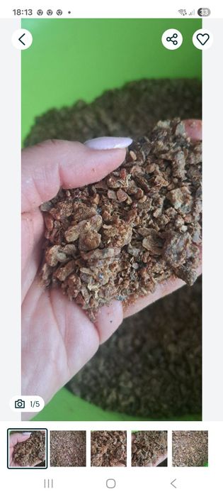 Propolis - kit pszczeli 100 g