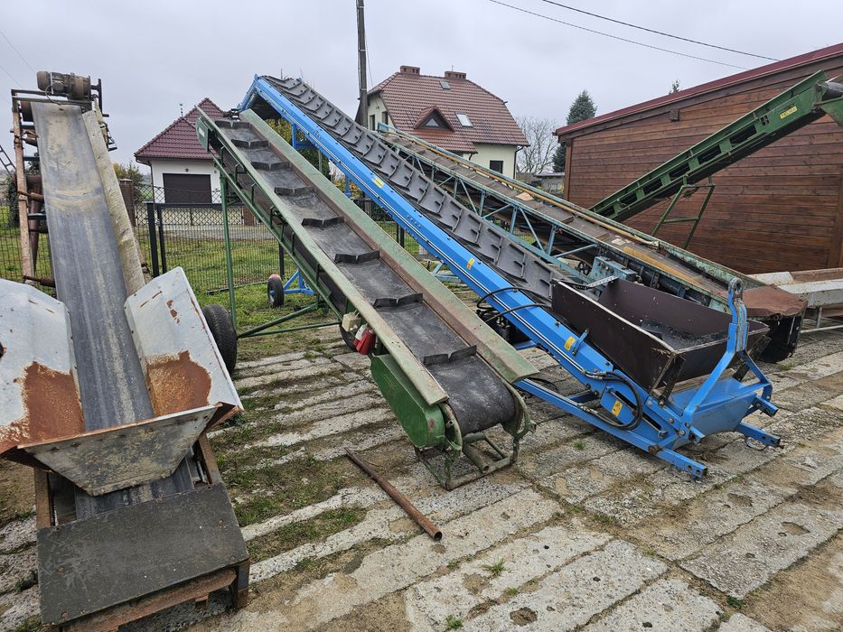 Taśmociąg podajnik kosz przyjęciowy sortownik  ziemniaki cebula