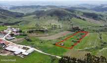 Terreno  para venda