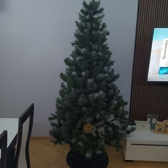 Choinka zielona posrebrzana