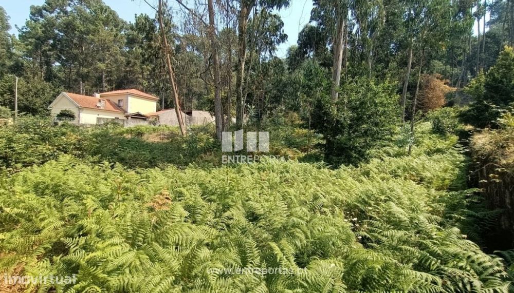Venda de fantástico terreno para construção, Areosa, Viana do Caste