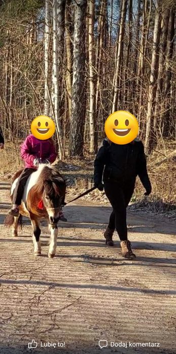 Sprzedam klacz kucyka