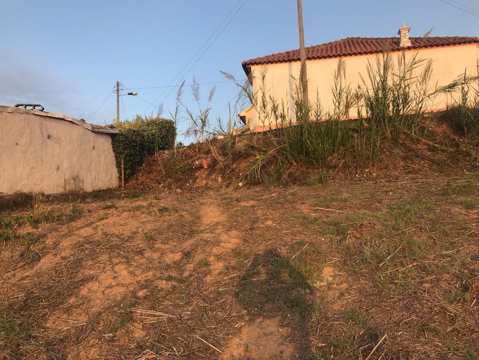 Terreno Lourinhã/Ribeira dos Palheiros