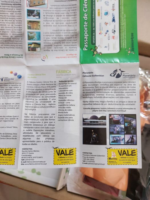 Brinquedo educativo Corpo Humano