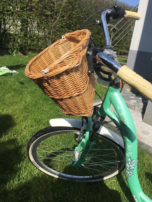 Rower damka miętowy