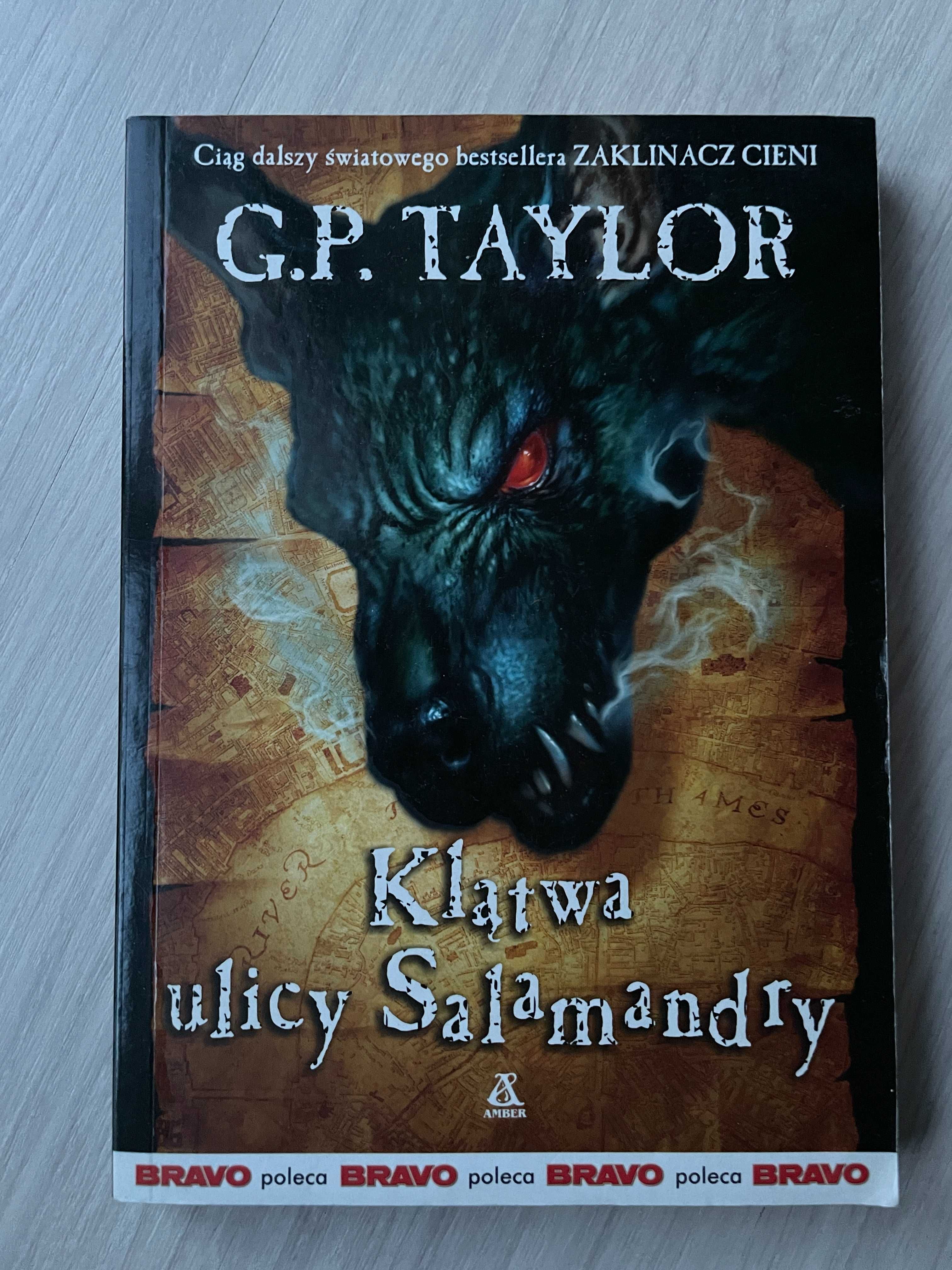 G.P. Taylor - Klątwa ulicy Salamandry