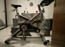 Bicicleta estática BH profissional,22 kg volante de inércia