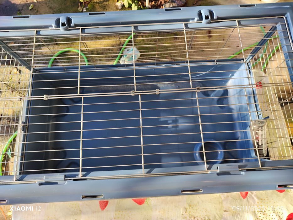 Gaiola grande para porquinhos da Índia ou coelho