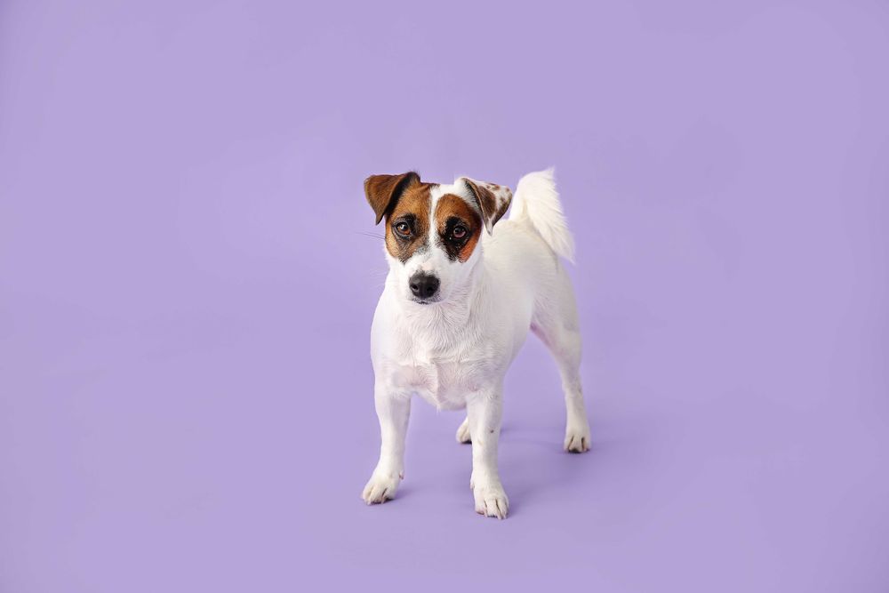 Ретуш фотографій, ПЕРШИХ 10 БЕЗКОШТОВНО