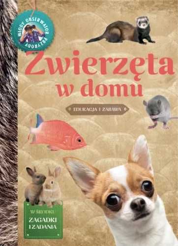 Młody Obserwator Przyrody. Zwierzęta w domu - Izabela Brańska-Oleksy