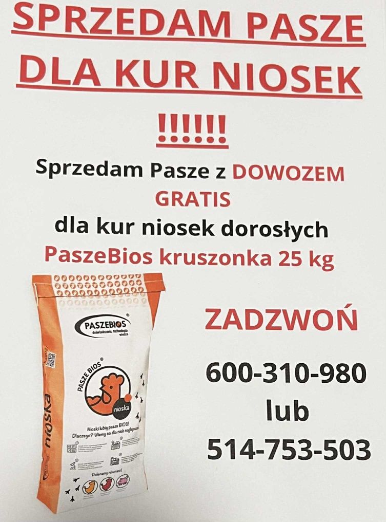 Pasza Kury Nioski PaszeBios kruszonka