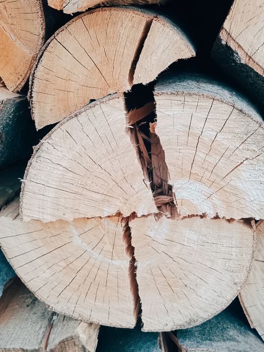 Drewno kominkowe/opałowe SUCHE