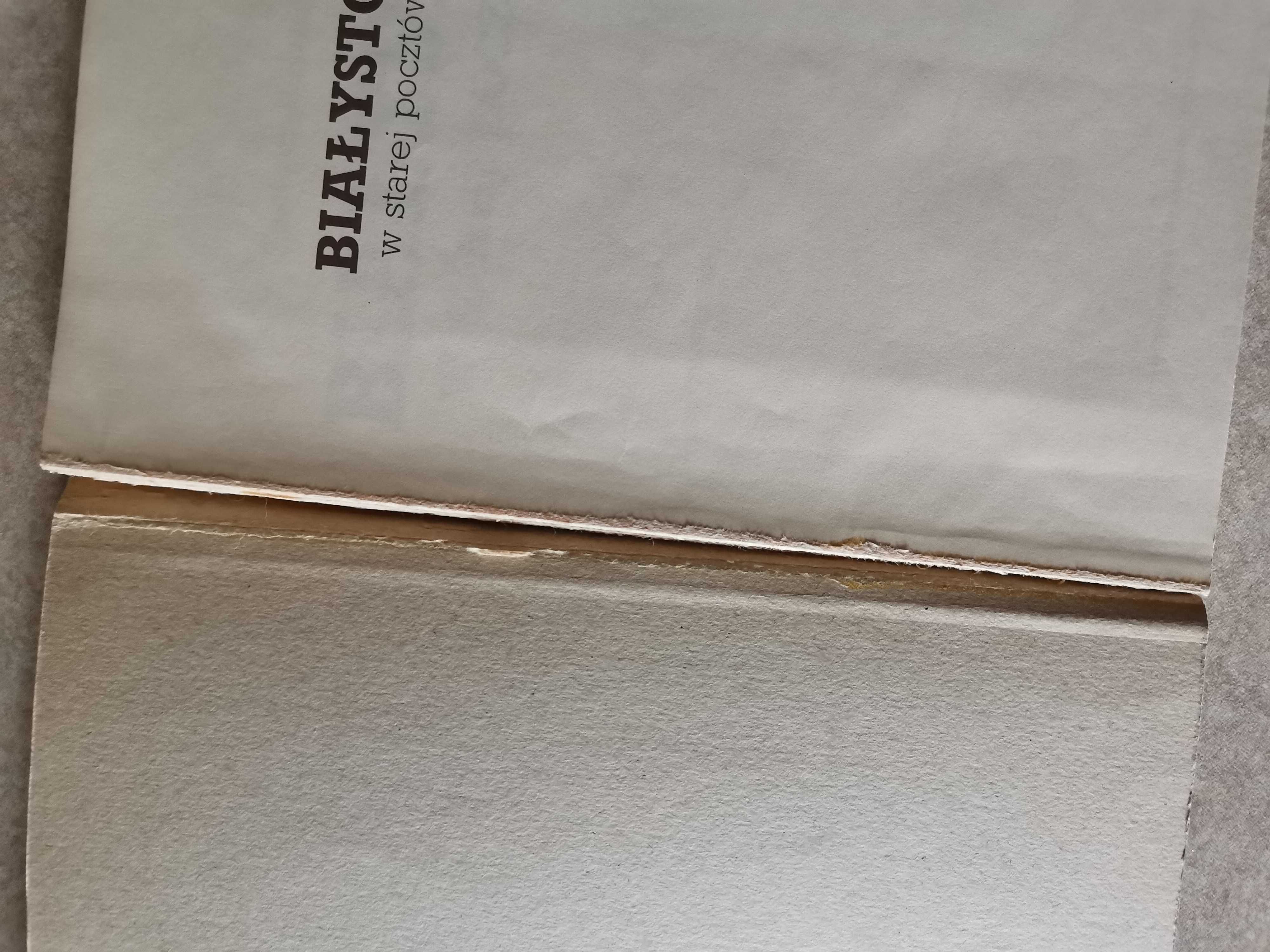 Białystok w starej pocztówce. Tomasz Wiśniewski