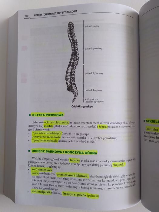 Repetytorium maturzysty biologia