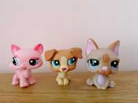 Littlest pet shop lps zestaw kot i psy