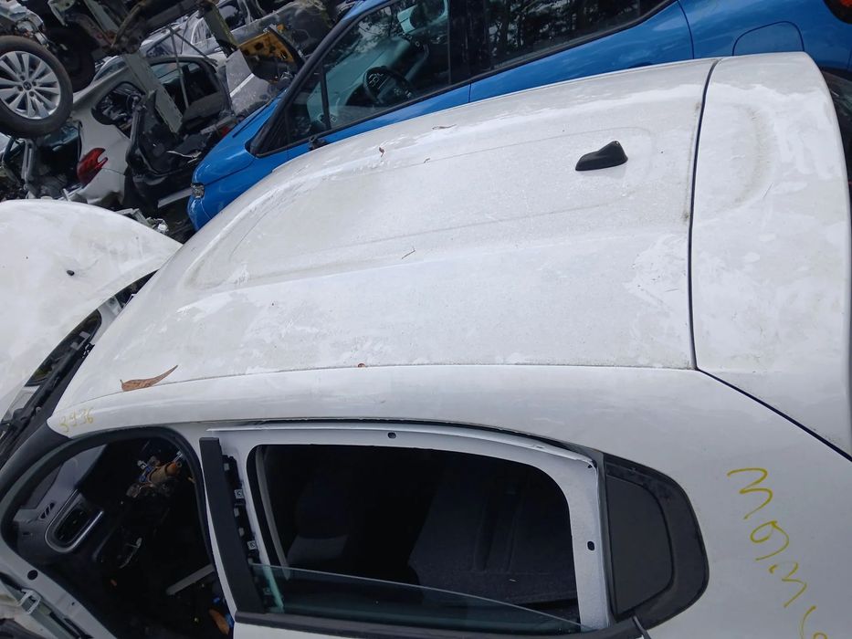 Tejadilho CITROËN C3 III (SX)