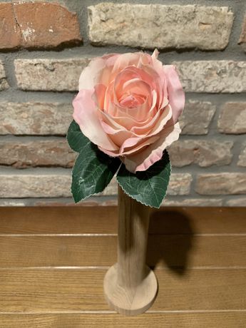 Роза декоративна