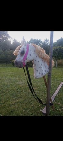 Hobby horse realistic