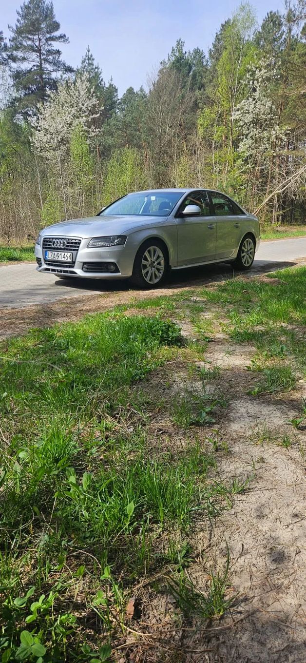 Audi A4 Audi A4 B8 2.0 TDI 170 KM | 2009 | 320 tys. km