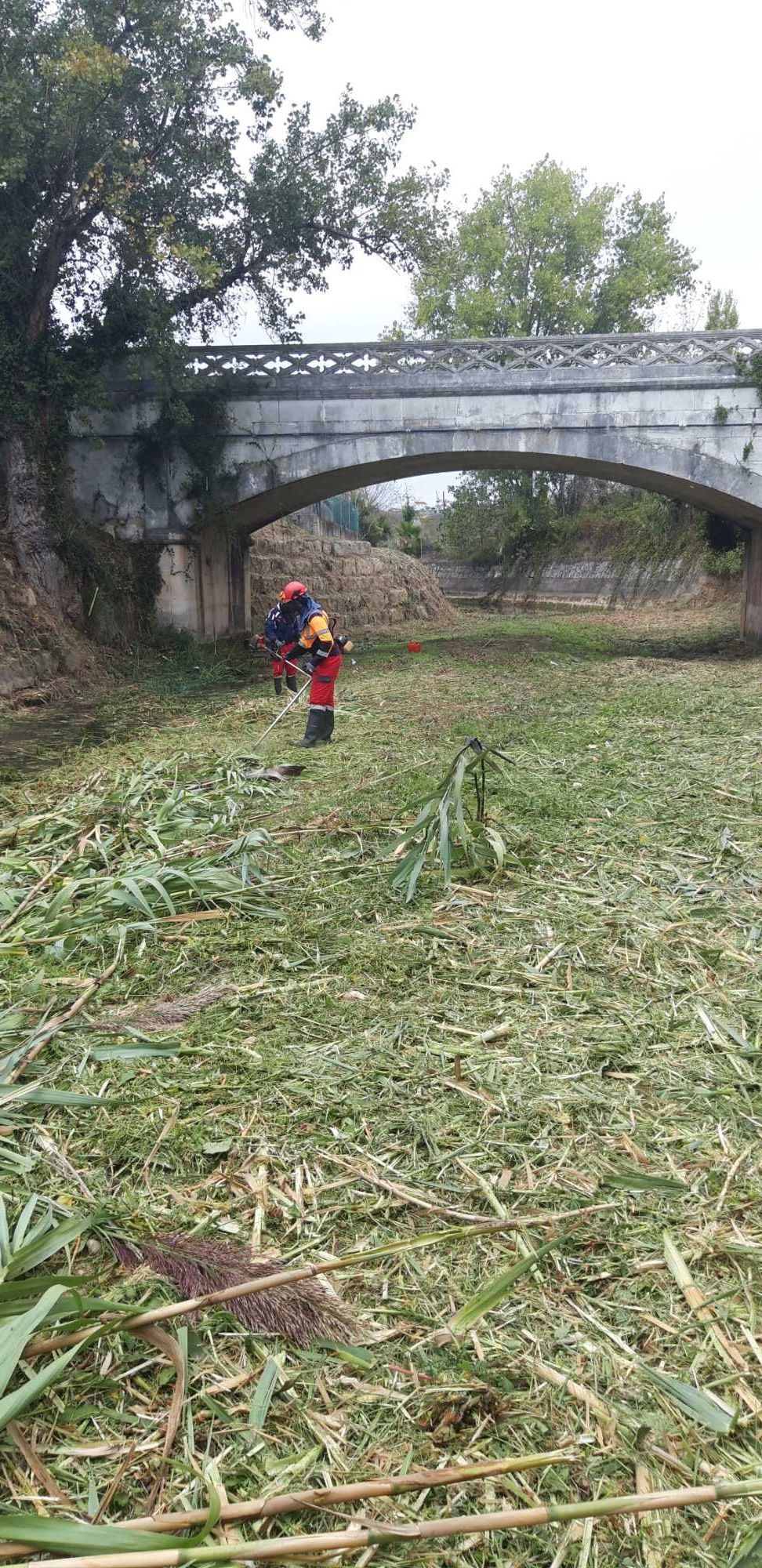 Limpezas de terrenos florestais vedações construção de muros em betão