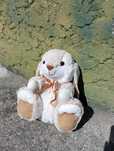 Peluche Coelho Novo