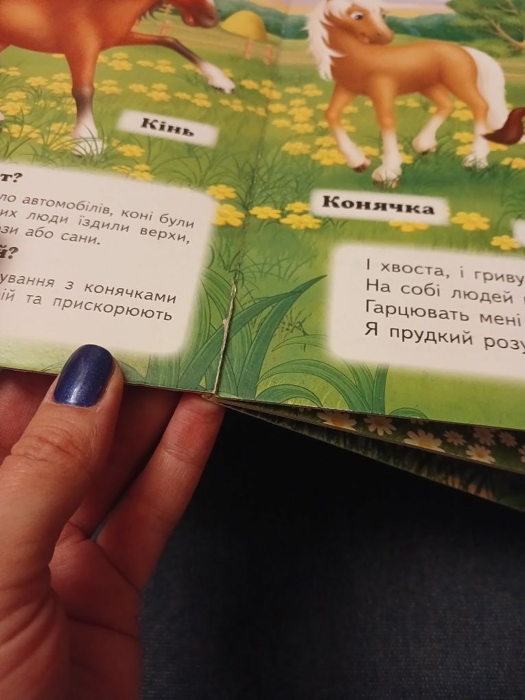 Книги, книжки, хто це, кто это, с загадками, небо, птицы, в небе