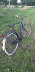 Rower retro Locomotief holandia
