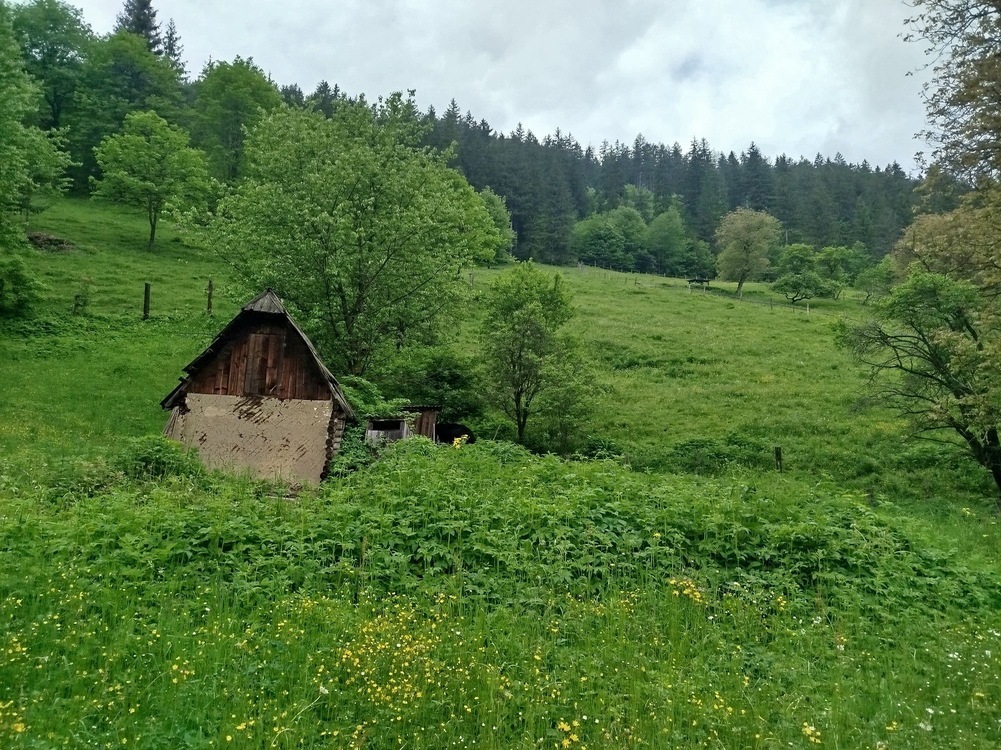 Земля в Карпатах, біля лісу, річки, дорога для легкових