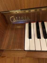 Pianino - Calisia.