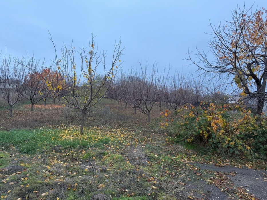 Продаю будинок в с.Лиса Гора