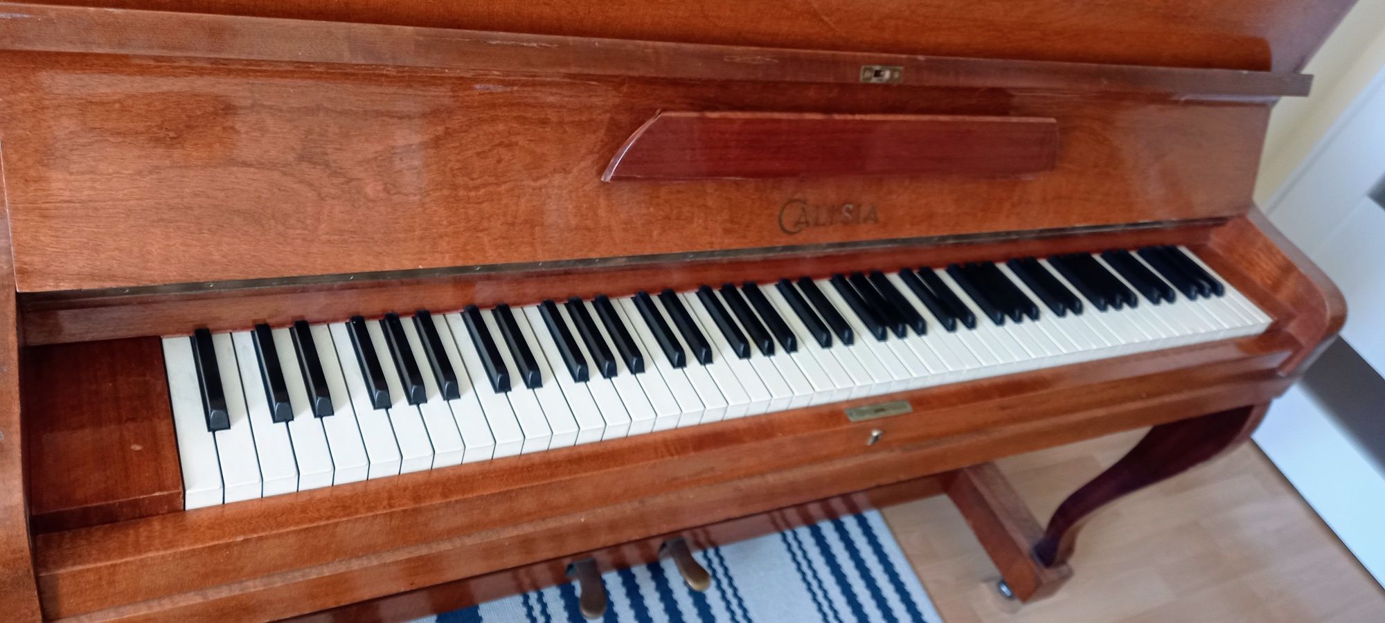 Pianino Calisia w dobre ręce
