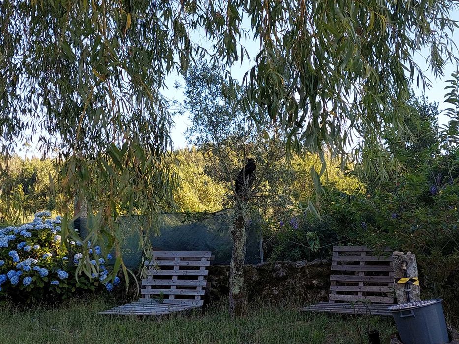 Quartos para arrendar próximo a Oliveira de frades e das cachoeiras