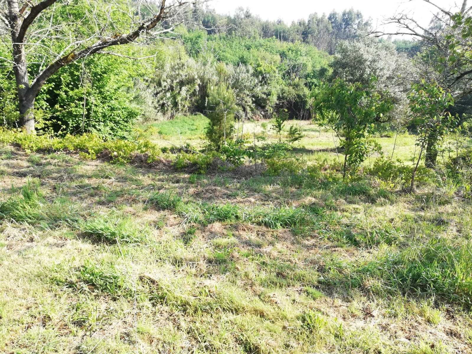 Venda de Terreno em Vila Nova da Rainha, Tondela