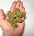 Susz Konopny CBD Banana Kush Hurt PREMIUM Mocny Aromat TOP Jakość 1KG