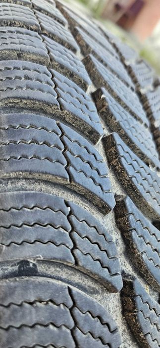 Opony zimowe Dębica Frigo 2