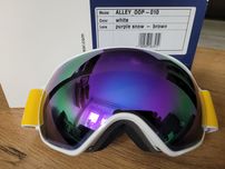 Gogle narciarskie RedBull Spect Alley OOP 010