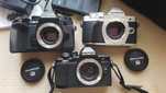 Olympus OM-D (бездзеркалка для MFT)