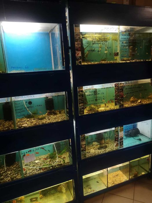 Regał akwarystyczny - kompletny stan .