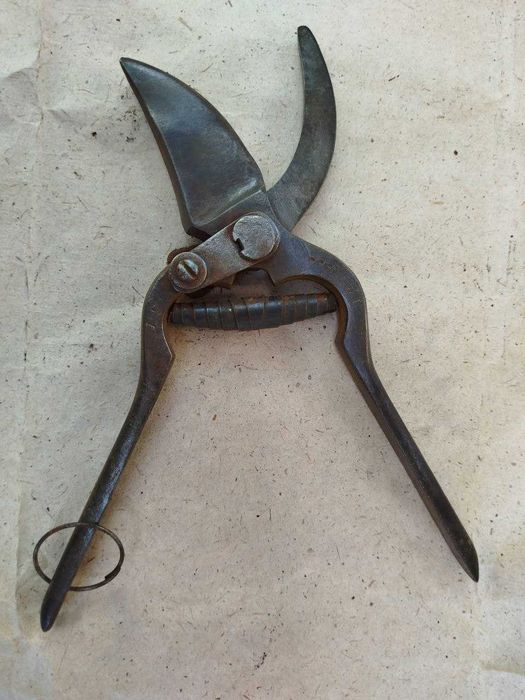 Секатор садовий 1957р.