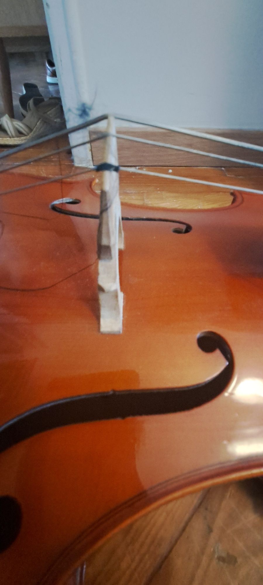 Violoncelo Stentor 1/2 em bom estado